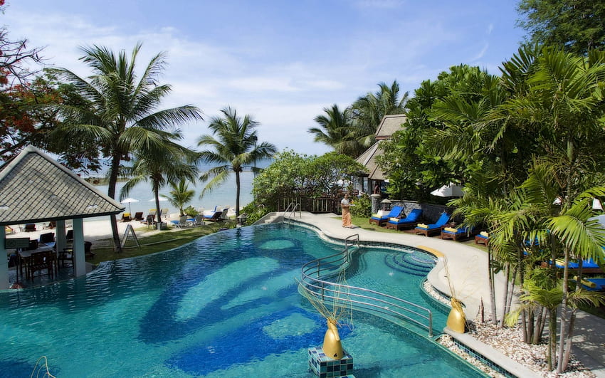 natureza, palmeiras, relaxamento, descanso, design, trópicos, resort, vila, piscina papel de parede HD