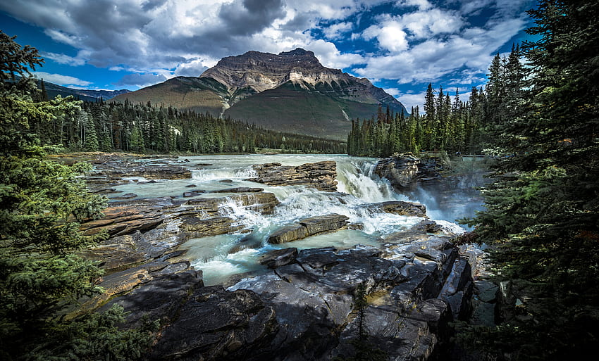 Athabasca Falls Jasper NP, jasper np, cascade, eau, chutes athabasca Fond d'écran HD