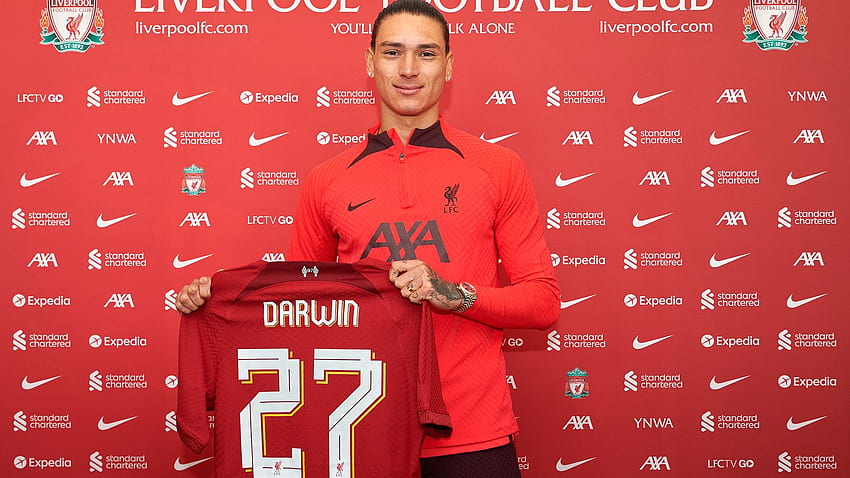 Darwin Nunez dołącza do Liverpoolu z klubowym rekordem 85 milionów funtów za transfer z Benfiki. Wiadomości z centrum transferowego Tapeta HD