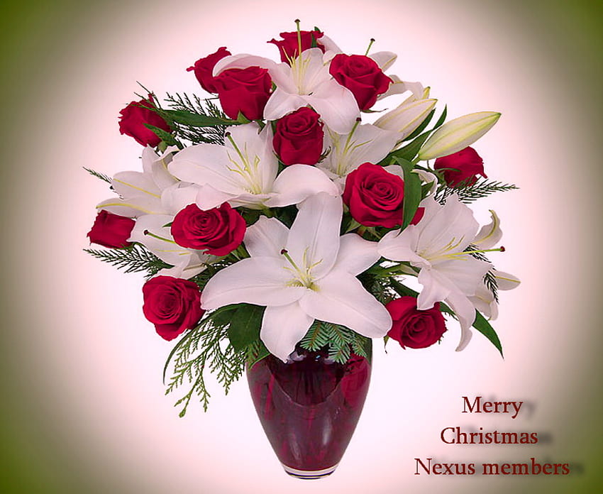 クリスマスの花、メリー クリスマス、クリスマス、花瓶、赤いバラ、花、白いユリ 高画質の壁紙