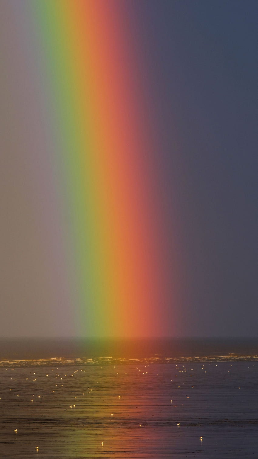 Rainbow, Colorfull HD phone wallpaper | Pxfuel