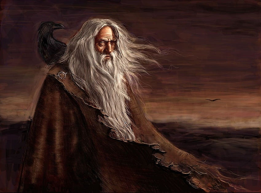 Man wearing robe with raven, painting, Vikings, mythology, Odin Viking HD wallpaper