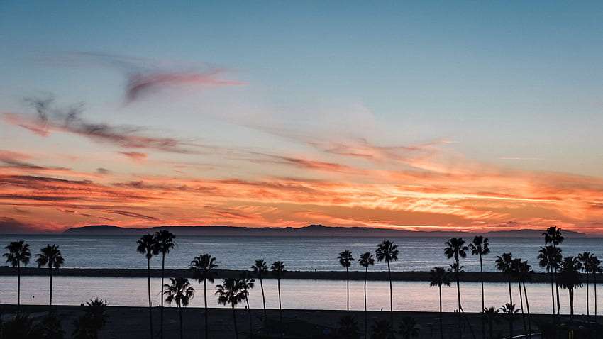 Palm Trees Sea Coast Ocean Waves Beach Sand Under Blue Sky During Sunset Nature HD wallpaper