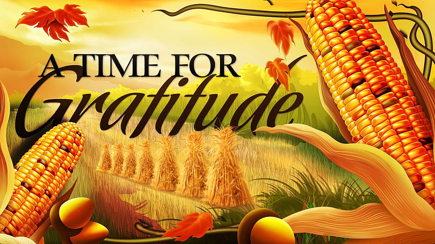 Thanksgiving Corn HD wallpaper
