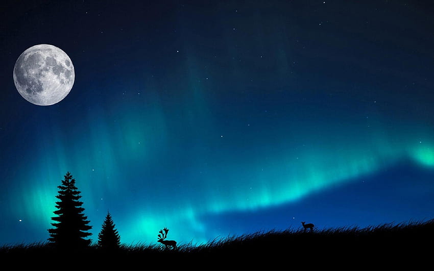 Siluet rusa kutub oleh bulan purnama dan aurora borealis yang bercahaya. Grafik lampu utara, lampu utara, lampu utara Wallpaper HD