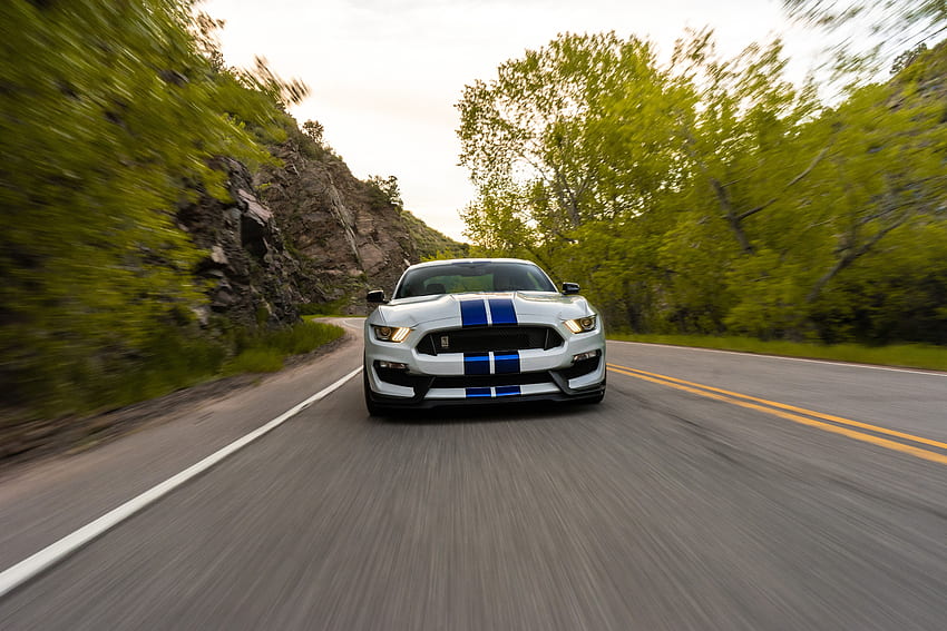 Sports, Ford, Cars, Road, Car, Machine, Sports Car, Speed, Ford Mustang Gt350 HD wallpaper