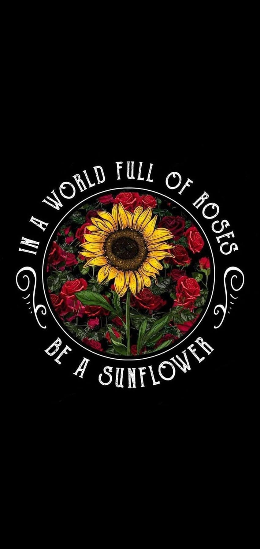 Sunflower and roses HD wallpapers  Pxfuel