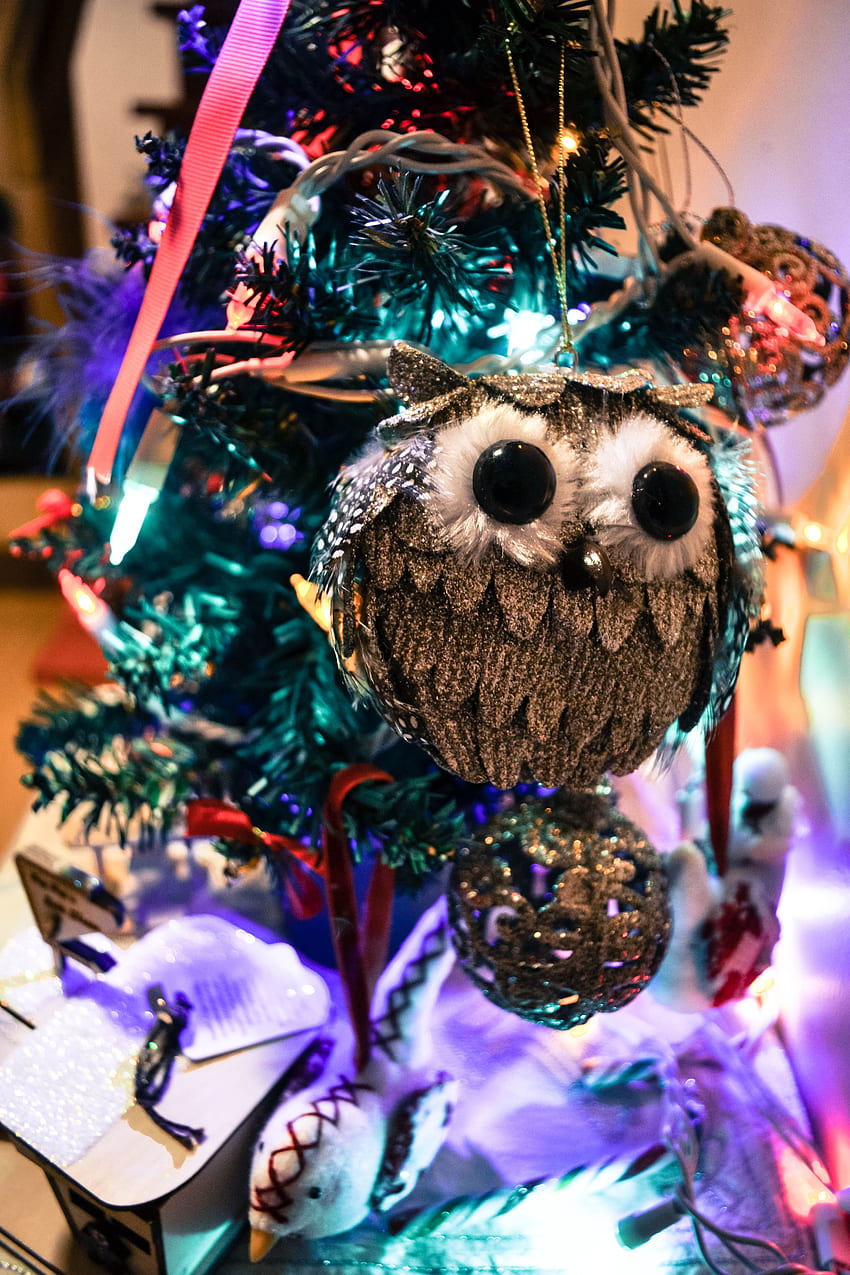Holidays, New Year, Owl, Christmas, Christmas Tree Toy HD phone wallpaper