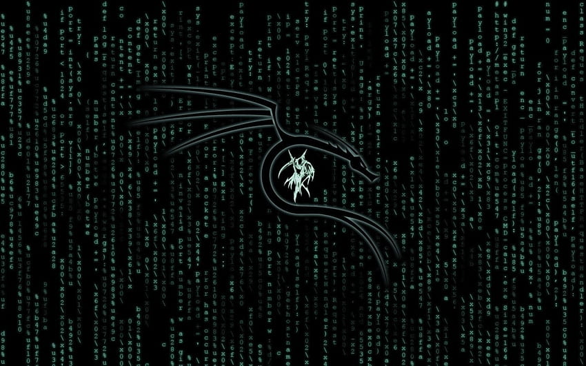 Kali Linux Matrix Resolution, Hi Tech, y Background Den, Debian fondo de pantalla