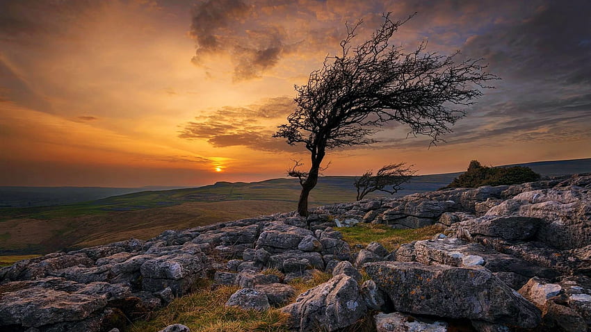 Twistleton Scar, Yorkshire Dales National Park, Angleterre, Royaume-Uni, ciel, soleil, arbre, nuages, paysage, couleurs Fond d'écran HD