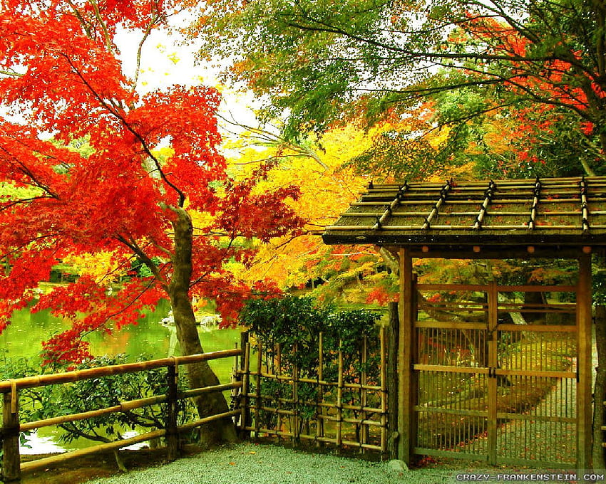 日本の秋 - 季節、日本の風景 高画質の壁紙