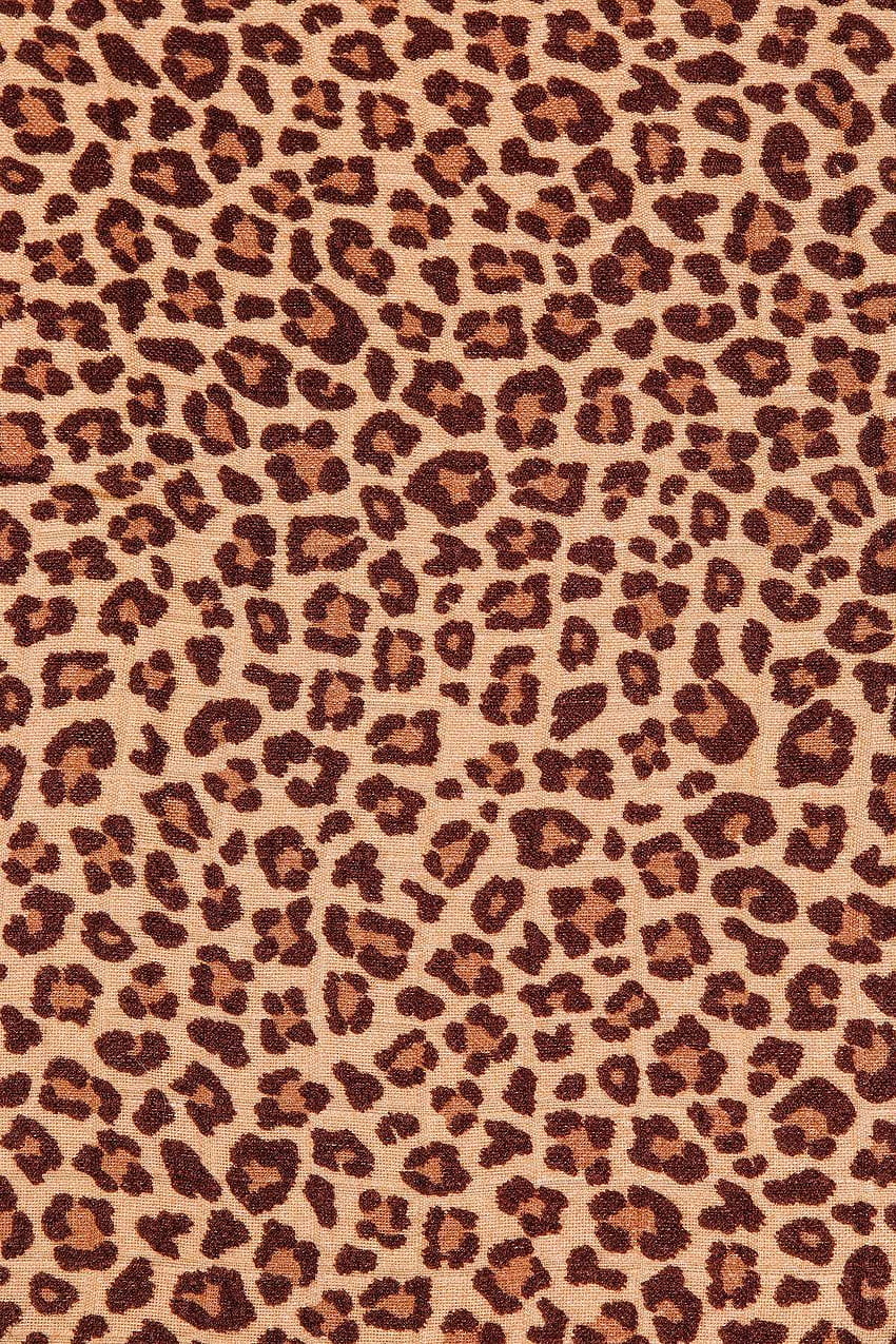 Download Stay Wild Aesthetic Cute Cheetah Print Wallpaper  Wallpaperscom