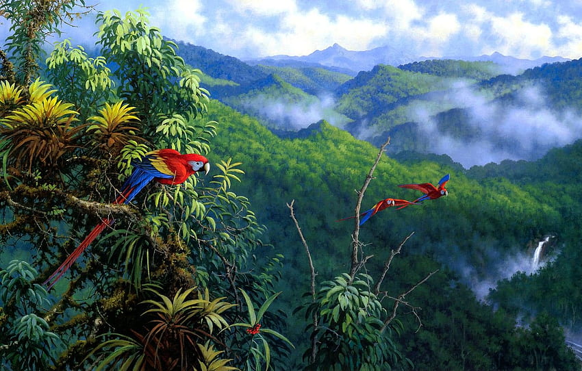 leaves, clouds, mountains, birds, branches, nature, fog, hills, figure, waterfall, , art, parrot, parrots, painting, forest for , section живопись HD wallpaper