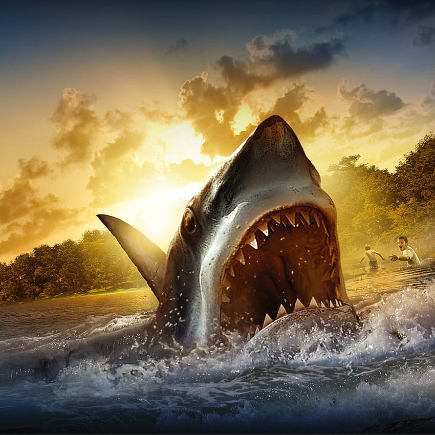 Shark Attack, Ultra Shark HD phone wallpaper