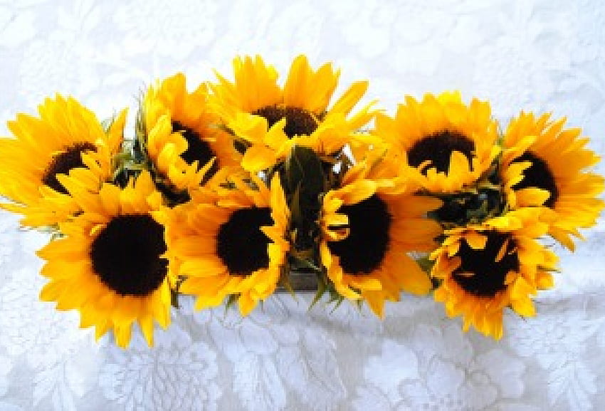 Love For All Mothers, bouquet, entertainment, floral, special day, beautiful, wonderful, arrangement, fashion, sunflowers, light, love, yellow, for mothers, forever HD wallpaper