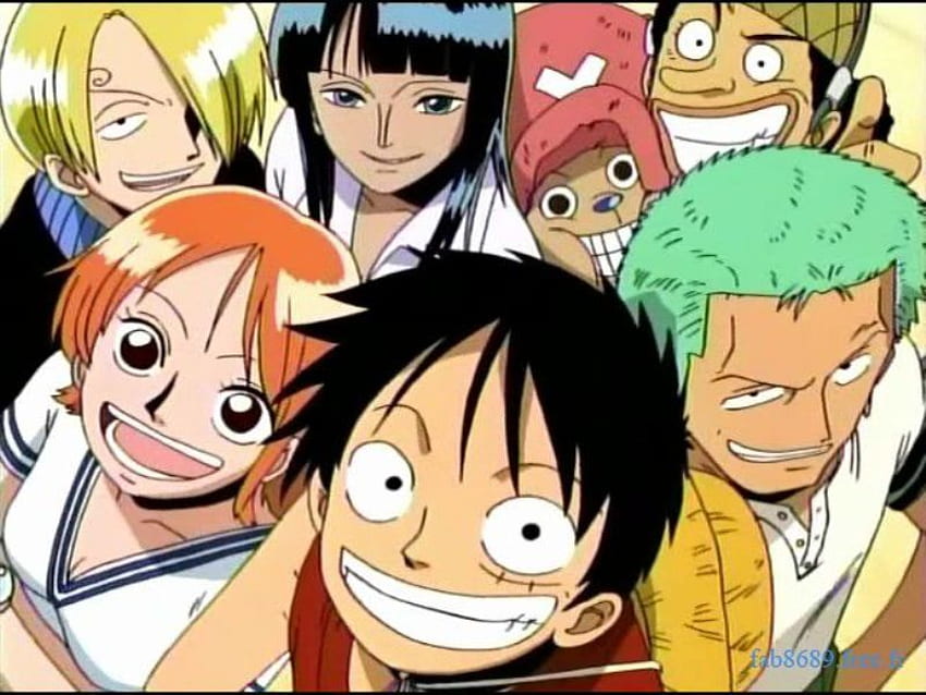 One Piece, nami, sanji, girubatto, chopper, rufy, usoppe, anime, zoro, pettirosso Sfondo HD