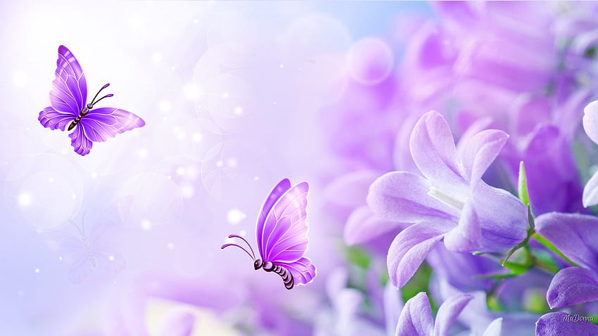 Bliss Soft Butterflies Pastel Summer Flowers - パープル バタフライ パステル パープル ローズ、美しいパステル フラワー 高画質の壁紙