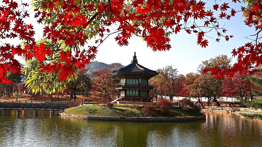 Herbst Korea – Ideen für die besten Jahreszeiten, Insel Nami HD-Hintergrundbild