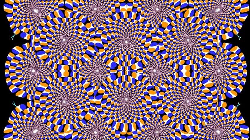 Optical Illusions - Collections, Cool Illusion HD wallpaper | Pxfuel