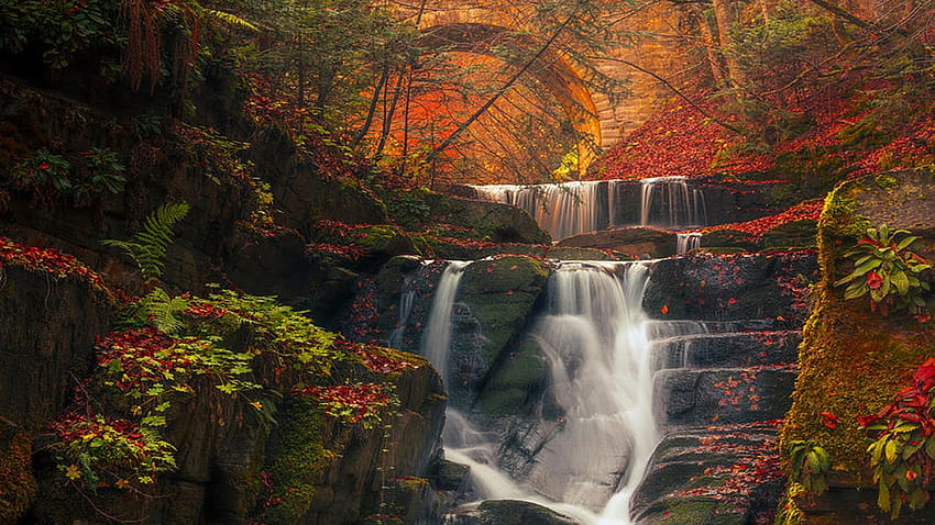 Where Magic Is Real - Waterfall Cascades in Bulgaria, trees, cascades, river, rocks, forest HD wallpaper