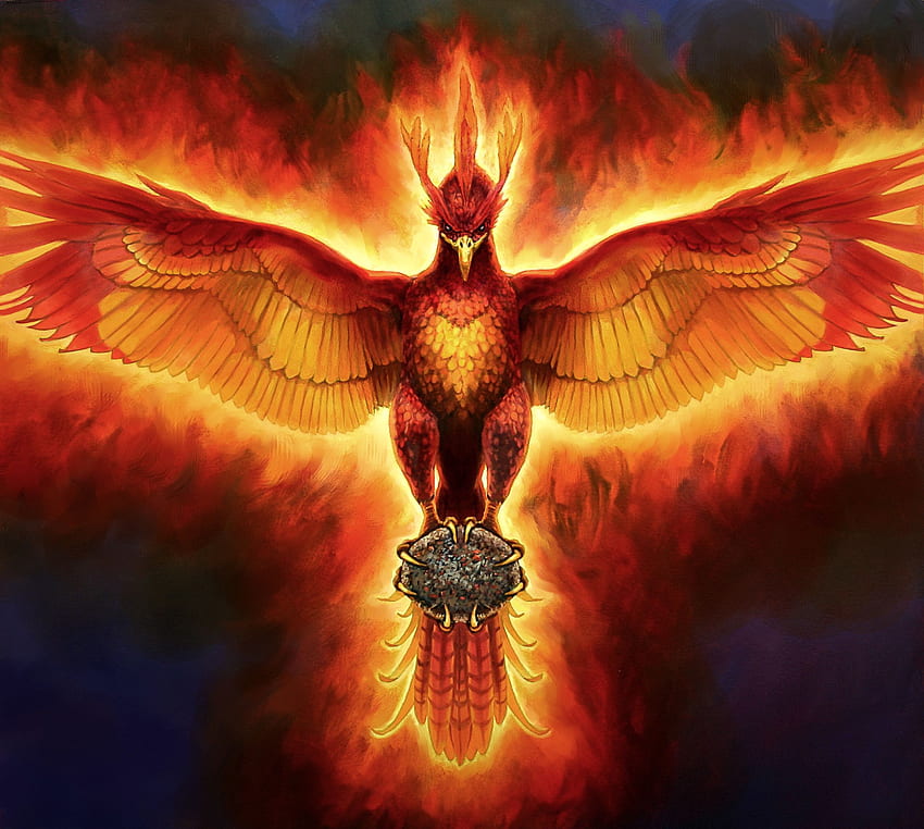Phoenix Bird , Mythical Phoenix HD wallpaper