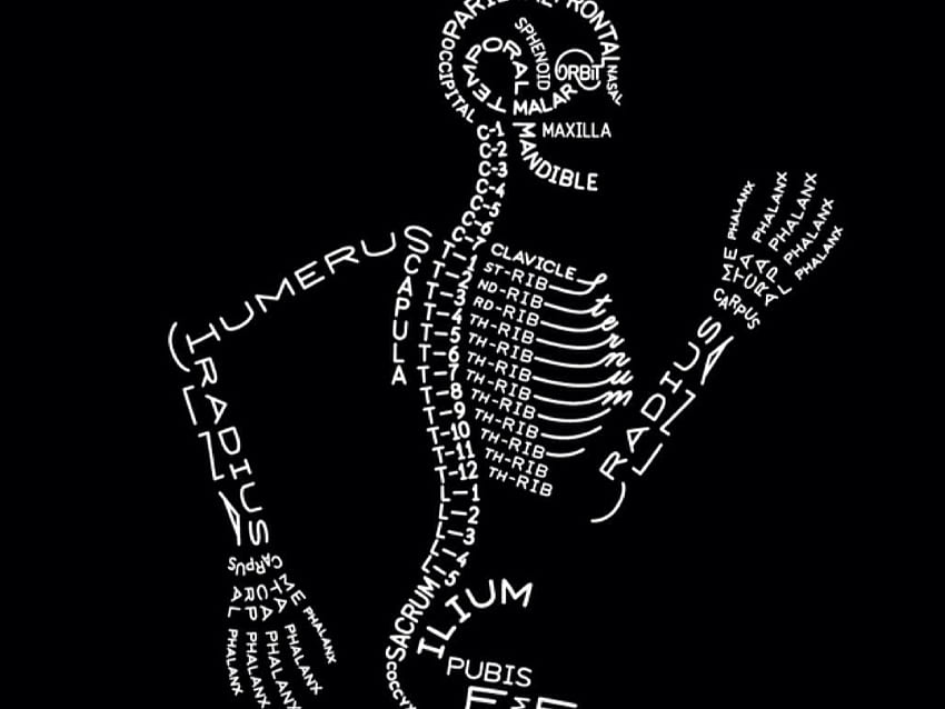 Röntgenstrahlen für Studieninteressierte von Diane Fleury Evans, Radiologietechnologin HD-Hintergrundbild