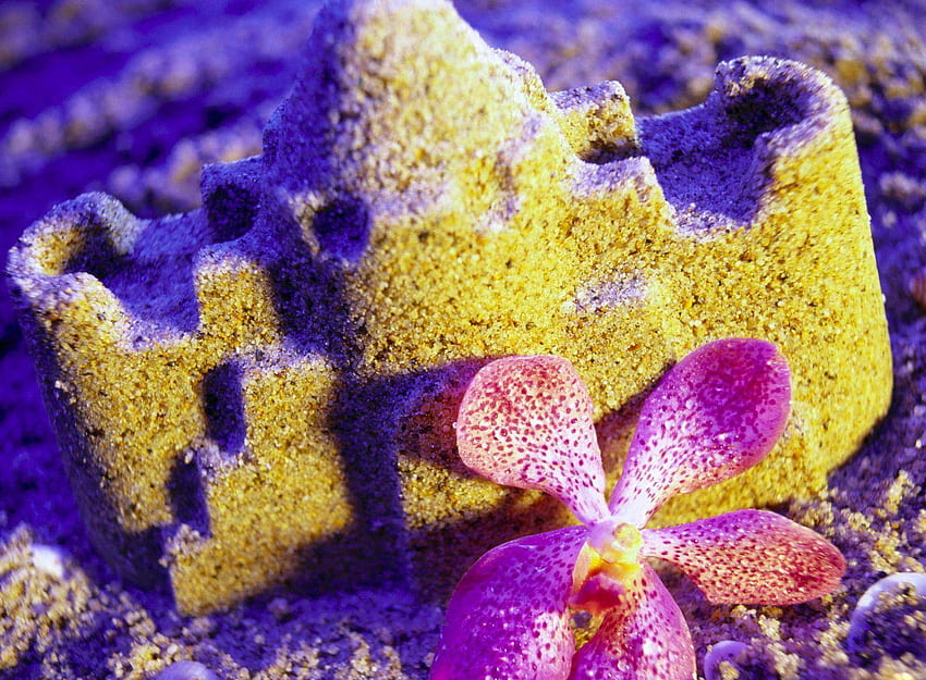 fragile castle, purple, fragile, sand, castle HD wallpaper
