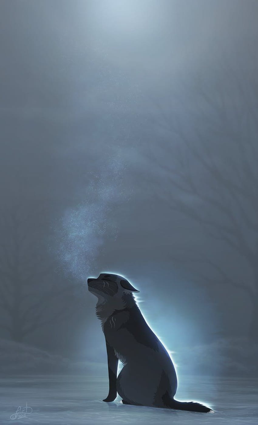 Spirit Wolf, lone, wolf, HD phone wallpaper | Peakpx
