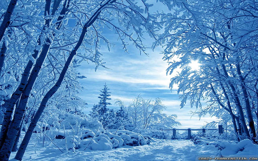 Ver Winter Nature pixel Nature [] para su, móvil y tableta. Explore el de invierno. Invierno, Escenas de nieve de invierno, Píxel de invierno fondo de pantalla