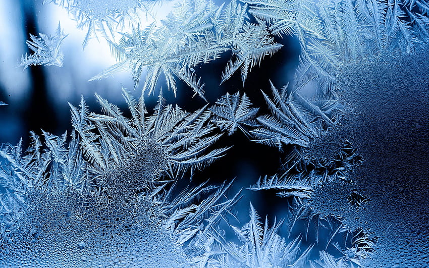 pattern, frosty, frost, glass, Dark Frost HD wallpaper
