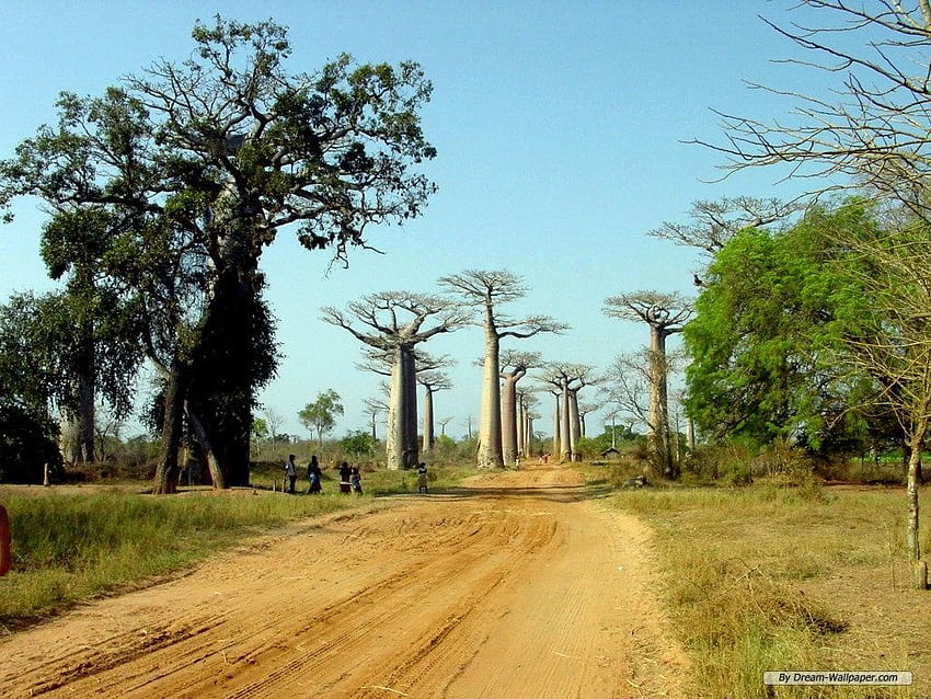 - Travel - Madagascar Scenery, Madagascar Landscape HD wallpaper
