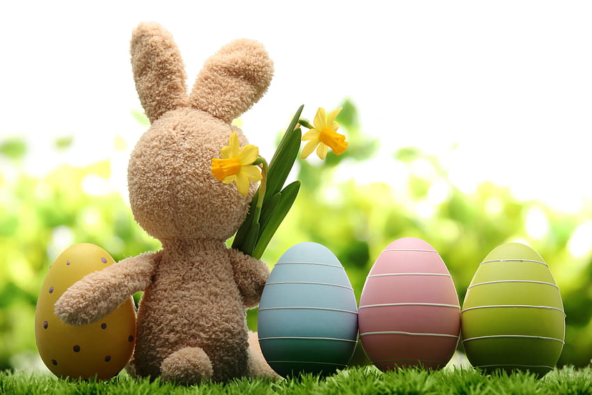 Funny Easter Bunny And Imag - Easter Background -, Cute Easter Spring HD wallpaper