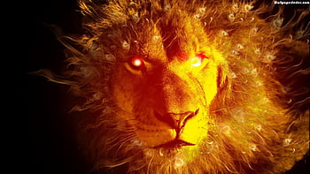 Fire Lion Face ., Cool Lion Face HD wallpaper | Pxfuel