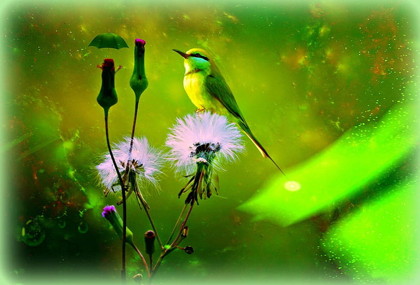Little Life in Green, plants, cute, colors, digital art, spring, animals, little umbrella, adorable, bird, beautiful, backgrounds, creative pre-made, love four seasons, life, manipulation, green, cool, nature, flowers, lovely HD wallpaper