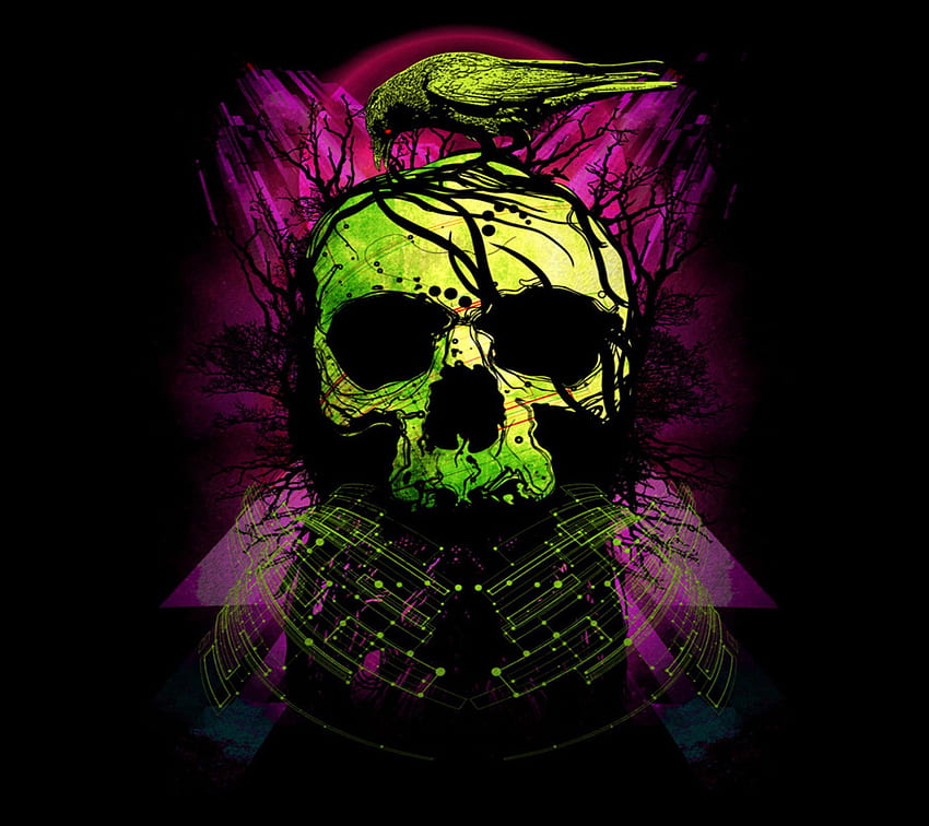 Crow and Skull, Pink and Blue Skull HD wallpaper