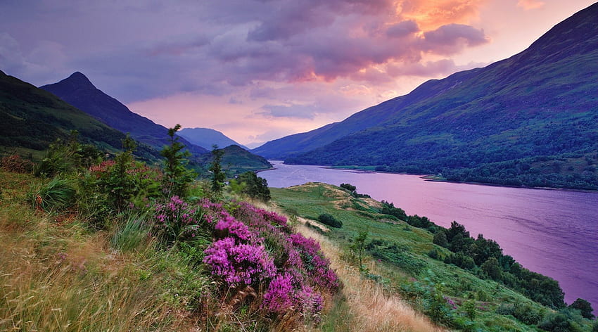 glorious color on a river in the scottish highland, river, pink, clouds, flowers, mountains HD wallpaper