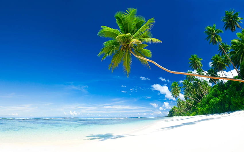 Beautiful, Tropical, Beach, Full, Screen, High, Resolution HD wallpaper