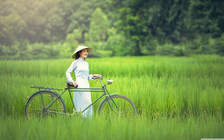 Girl, Bicycle, Rice Field Landscape HD wallpaper