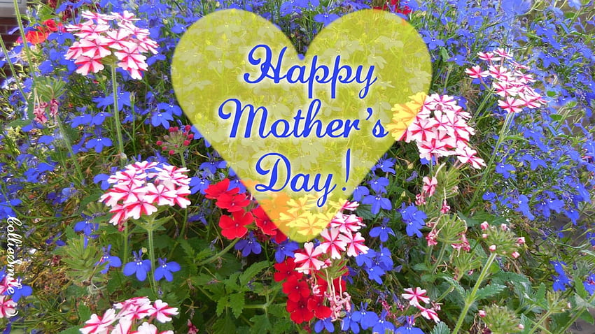 Happy Mother's Day (to my DN friends :) ), Moms, mothers, co11ie, Mom, Mother, Happy Mothers Day, purple, holiday, violet, green, yellow, red, flowers HD wallpaper