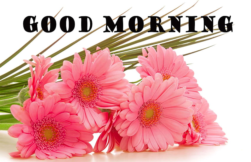 Good Morning Wallpaper Pictures - Good Morning Wishes