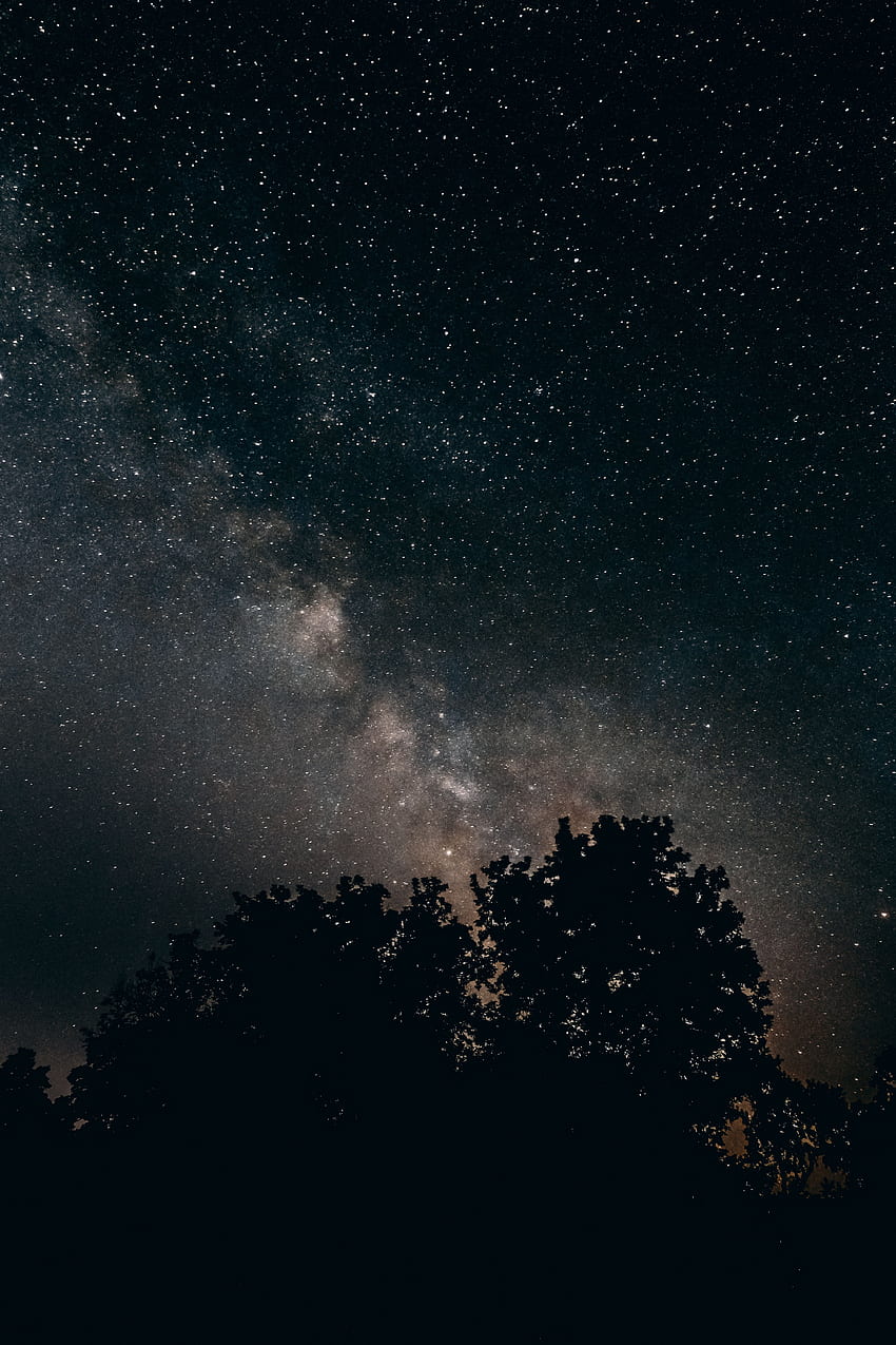 naturaleza, árboles, estrellas, noche, cielo estrellado, vía láctea fondo de pantalla del teléfono