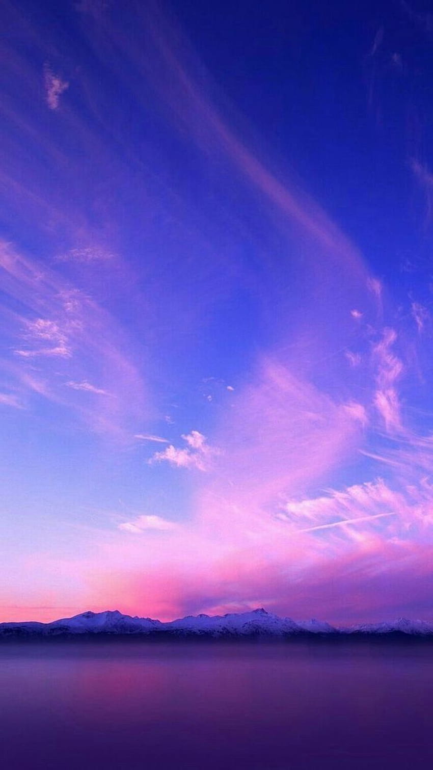 for a gorgeous aesthetic for phone and laptop, Lavender HD phone wallpaper