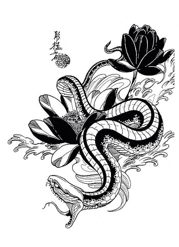 Hand Drawn Snake Tattoo coloring Book Japanese Style Stock Illustration   Illustration of background isolated 95064857