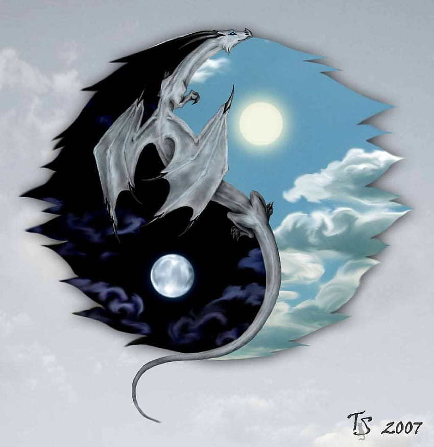 Yin Yang Wallpaper Images Browse 4408 Stock Photos  Vectors Free  Download with Trial  Shutterstock