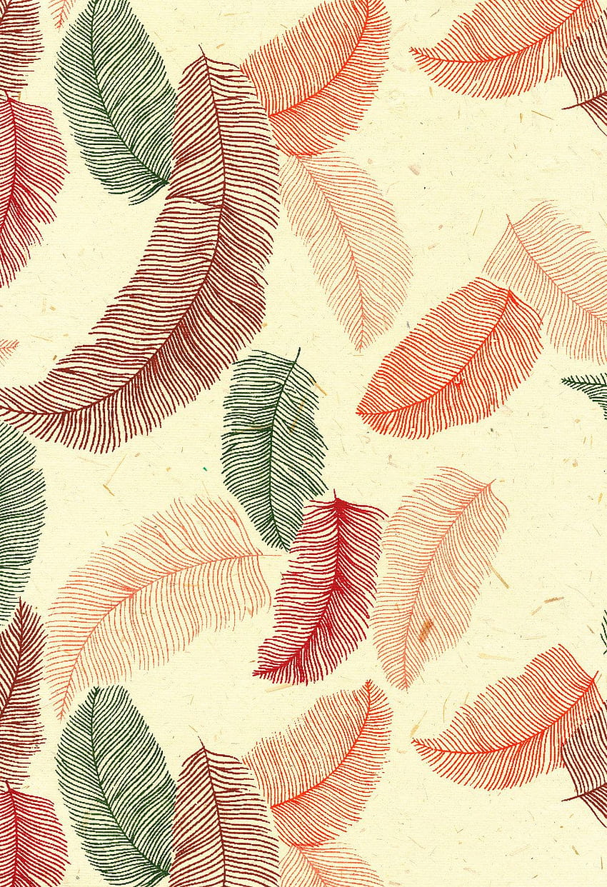 Feather Pattern. Background. Feather pattern, Indian HD phone wallpaper