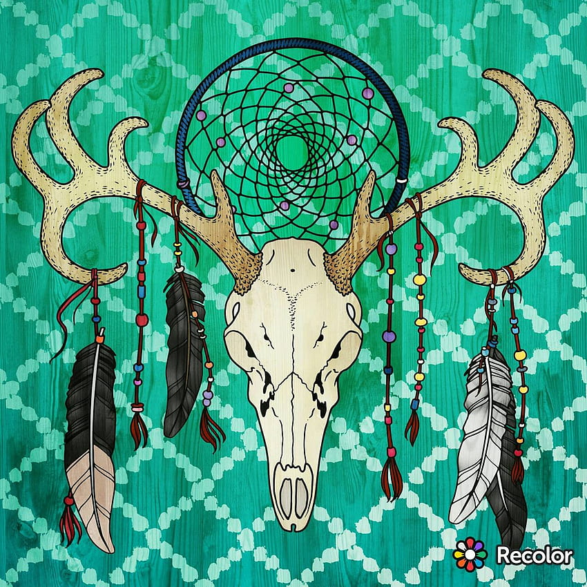 Deer skull, American Indian Skull HD phone wallpaper