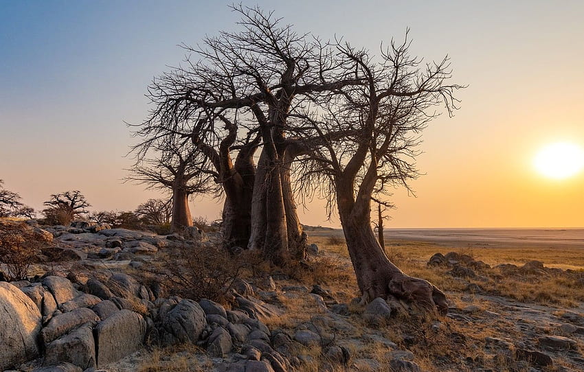 Zentral, Botswana, Thabatskudu für , Abschnitt природа HD-Hintergrundbild