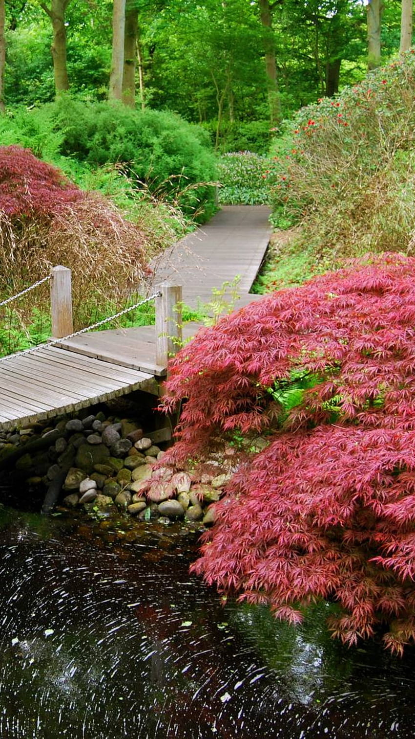 Pont en bois, nature, japon Fond d'écran de téléphone HD