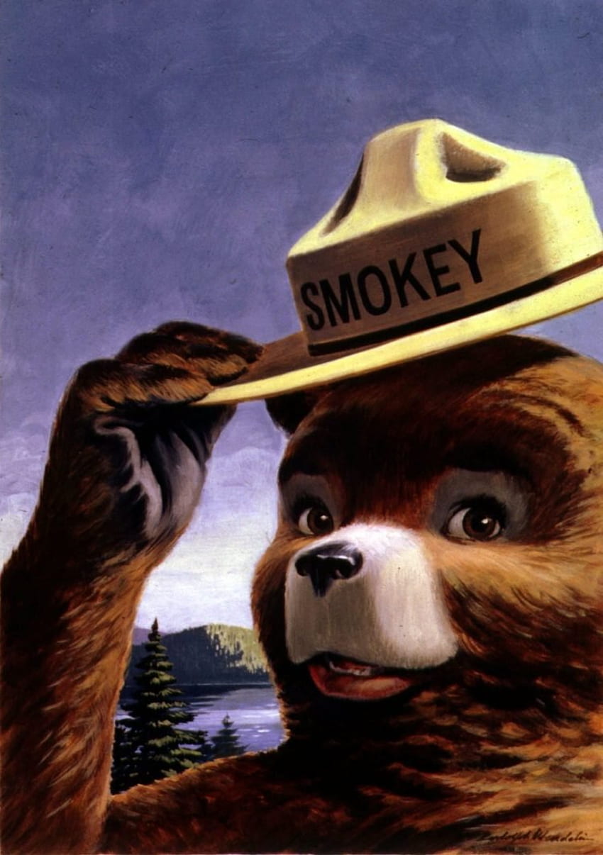 Outros Pinbacks Colecionáveis ​​Detalhes de Pinbacks sobre SMOKEY THE BEAR PREVENT FOREST FIRES PIN 1998 Papel de parede de celular HD
