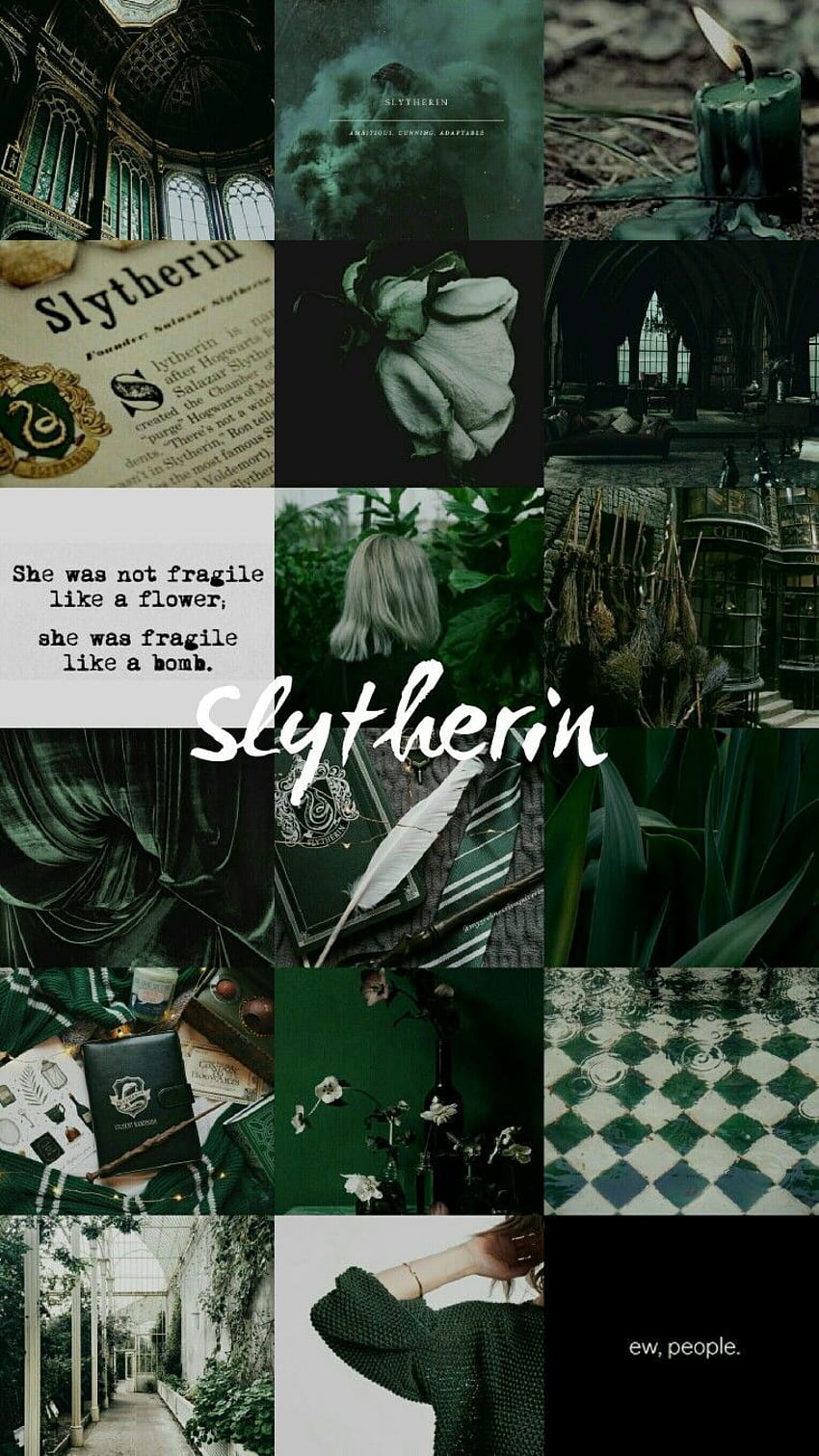 Slytherclaw Musings  Wallpaper harry potter, Corvinal, Harry potter tumblr